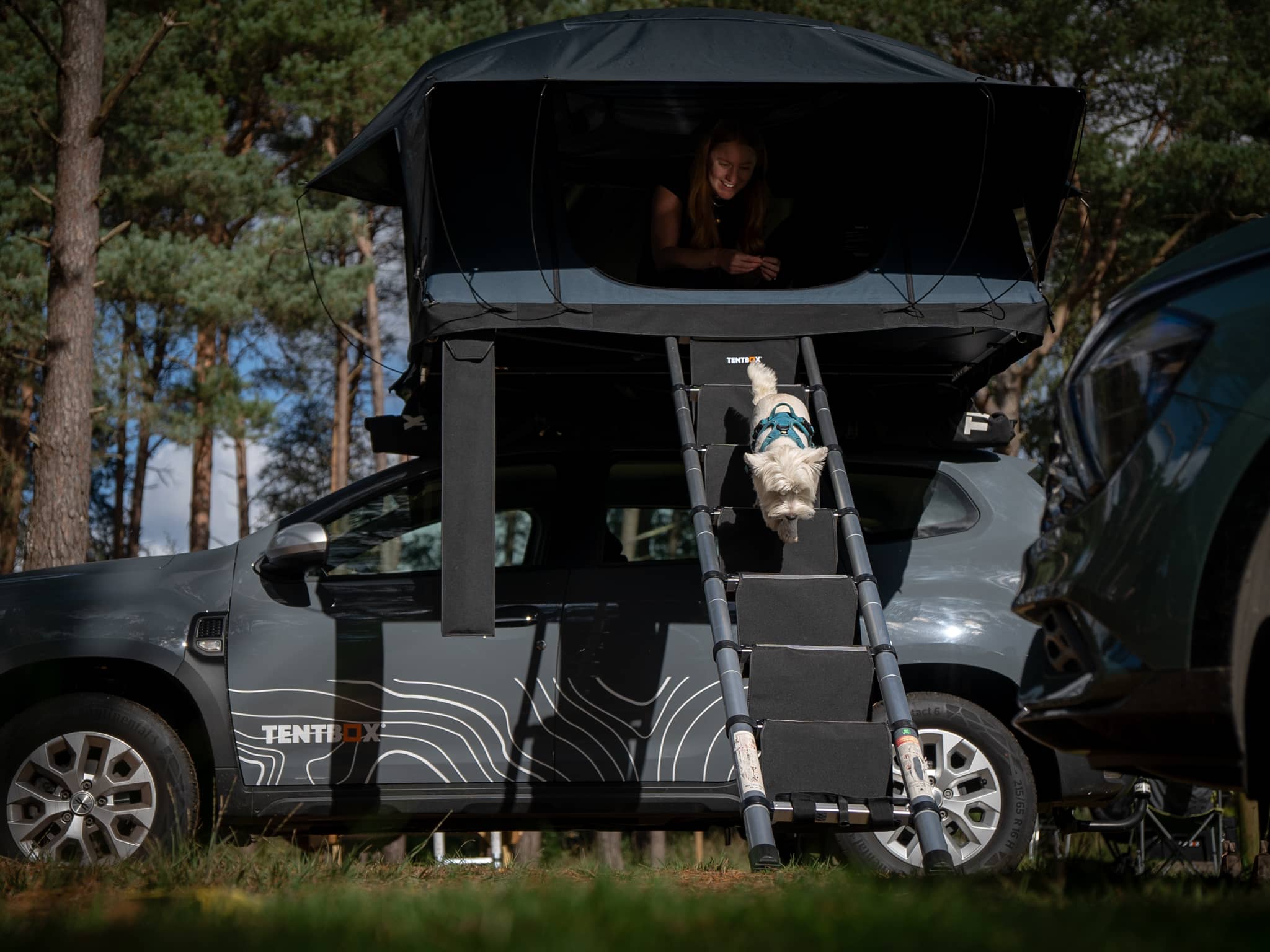 Tamena Ladder Steps – Sturdy & Safe Climbing Solution - Image 9